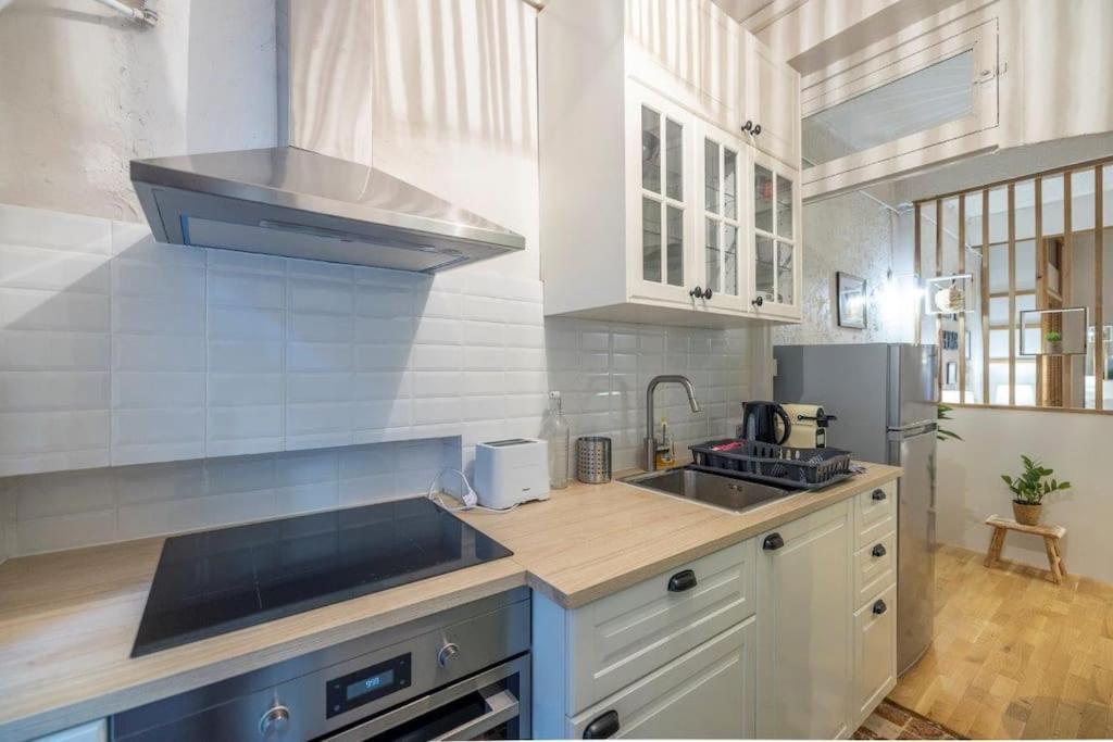 Appartement Cosy Dans Les Rues Pietonnes Grenoble Eksteriør bilde