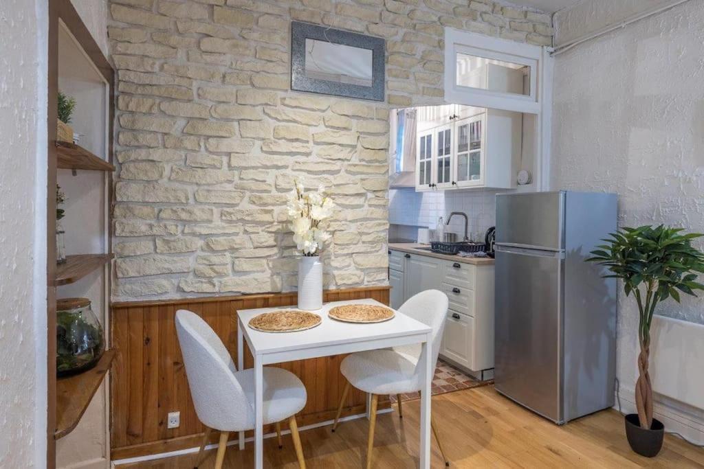 Appartement Cosy Dans Les Rues Pietonnes Grenoble Eksteriør bilde