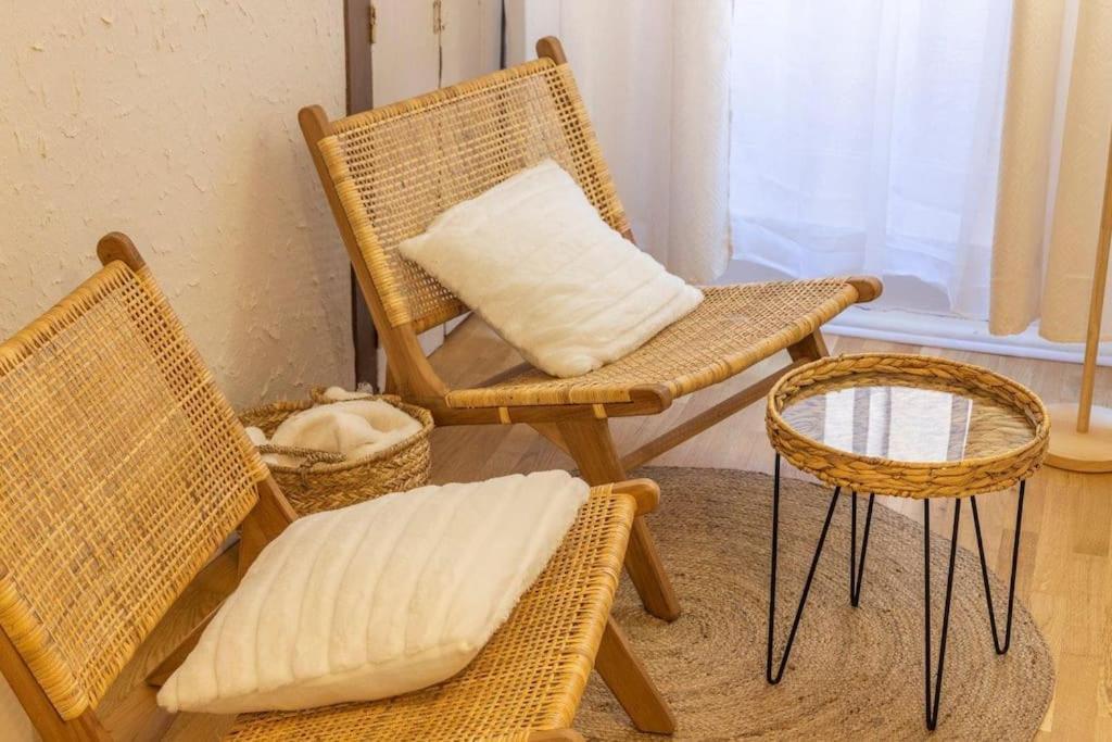 Appartement Cosy Dans Les Rues Pietonnes Grenoble Eksteriør bilde